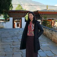 demasherpa_2008