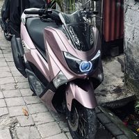 suara asli - Aprik gen