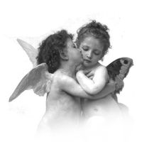 user81111182611