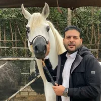 original sound - nour_raslan