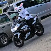 .bunnyrider