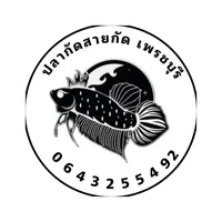 original sound - pagat_patchaburi
