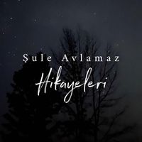 suleavlamazkitaplari