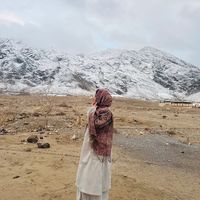 _alin_a8