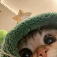 msyvaaa.o55
