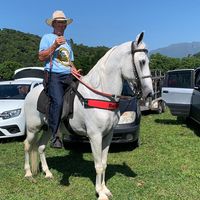 celso_brinquinho00