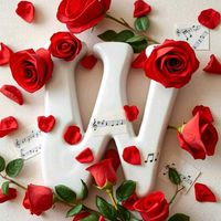 wassab31