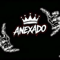 anexadovip