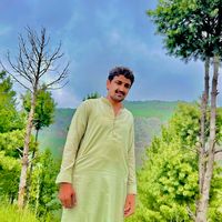 rafiqpainter2