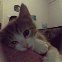 มากพอแล้ว