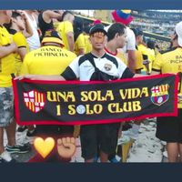 rcmatias33