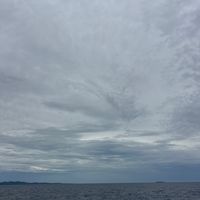 wane_2241
