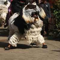 suara asli - joki singo raung karomah🐯