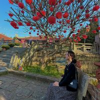 nhạc nền - Hồng Gấm