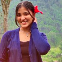 anzyy29
