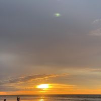 suara asli - Mphii🐼