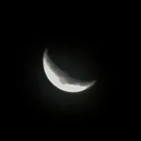 original sound - kucinggoreng.0