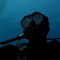 mkwdiver