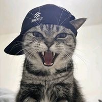 suara asli - Tayoo👑