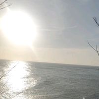 nhạc nền - 祚珍(chi Trân)