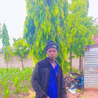 sauti ya asili