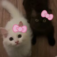 luuvee____
