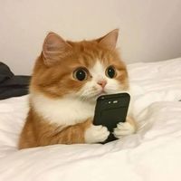 nhạc nền - Mai Phương