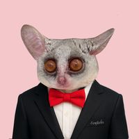 moholi.kung