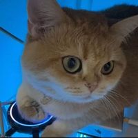 gloria07_07_