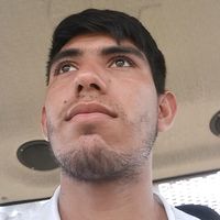 araujopalacio