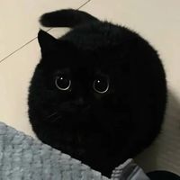 爱如潮水_我的歌声里
