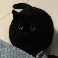 original sound - rghp_jtsw