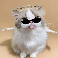 suara asli - KEVIN_FVNKY😎✨
