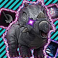 オリジナル楽曲 - 天然水🦖🧬