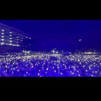 เสียงต้นฉบับ - แมงมุมมิวสิค.