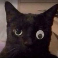 เสียงต้นฉบับ - seawpi._