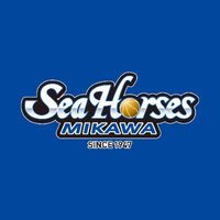 seahorses_mikawa