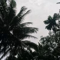 suara asli - dika 01