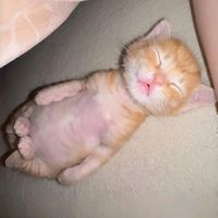 original sound - Eane