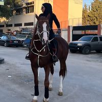 shereen_alset