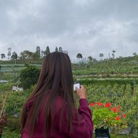 suara asli - Iryanaa