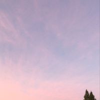 _yuichan08