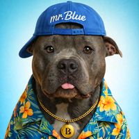 blueeltravieso
