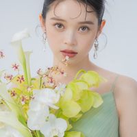 akari_fan39_