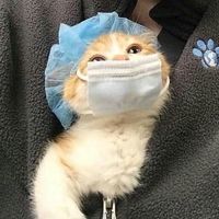 original sound - nenenene