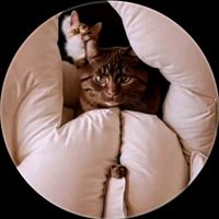 sonido original - ENYEL FB 👑