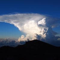 yktn0077