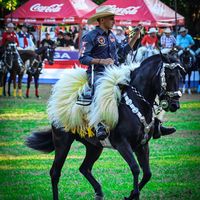 axel_sanchez__
