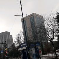 ferizaj481