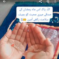 shazan642